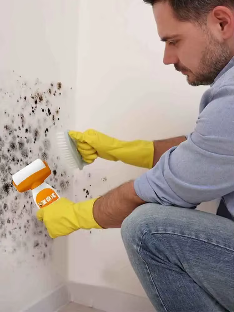 Rodillo de Pintura Recargable en Casa